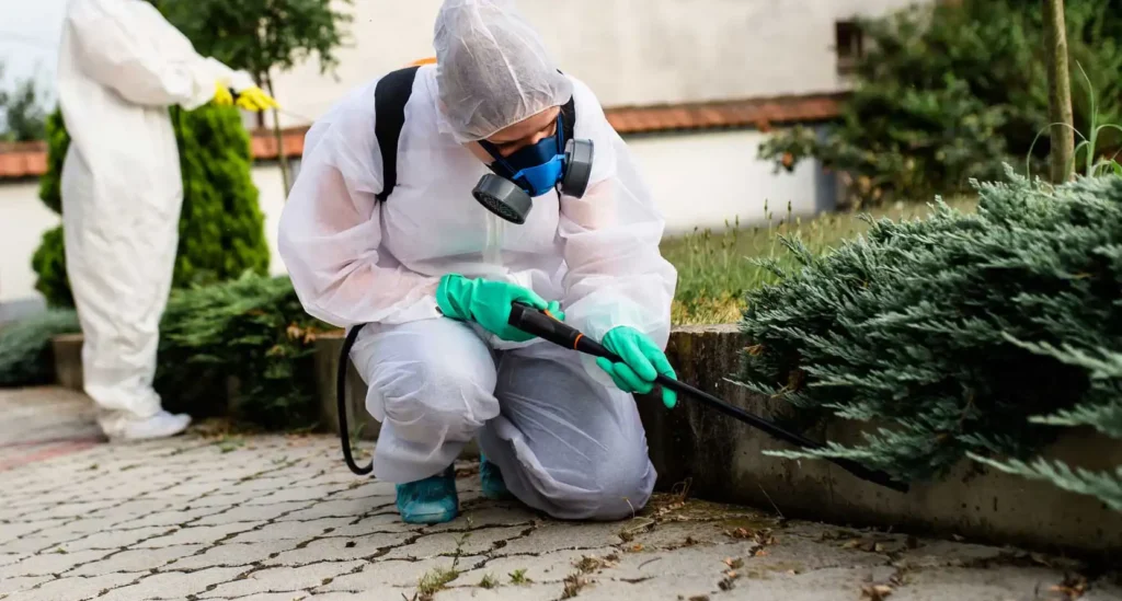 Pest control technician in protective gear spraying outdoors, showing expert and customized pest management solutions.