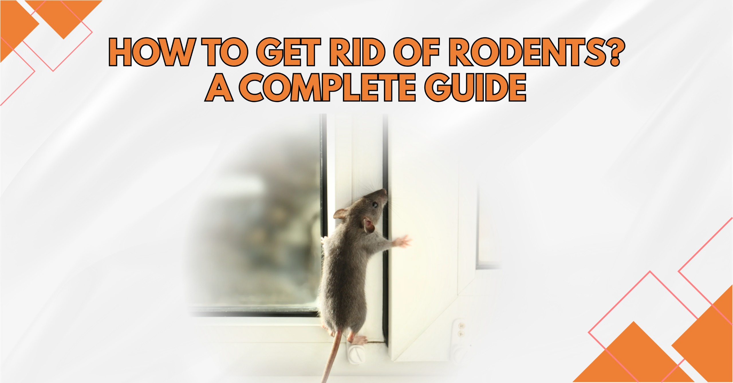 Gray mouse climbing a white window frame beside headline: "How to Get Rid of Rodents? A Complete Guide Illinois
