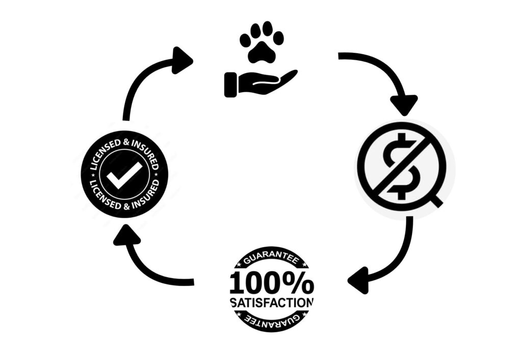 Infographic highlighting pet care services with licensed & insured assurance, no hidden costs, and 100% satisfaction guarantee for safe, reliable solutions.