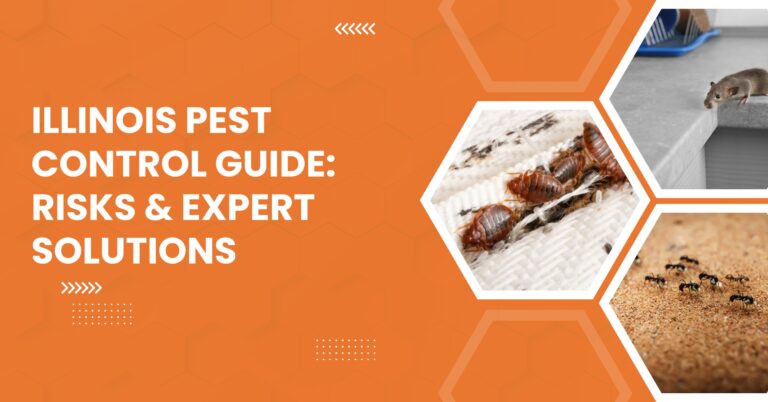 Orange infographic with bold text “Illinois Pest Control Guide: Risks & Expert Solutions” alongside images of common pests including a mouse on a kitchen counter, bed bugs on fabric, and ants on the ground.