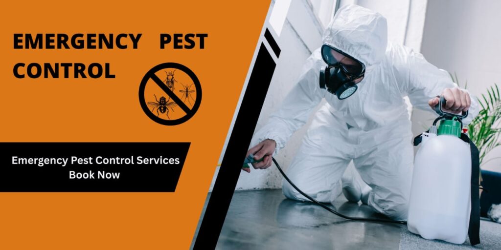 Technician in protective suit providing emergency pest control services inside a property by Perfect Pest.