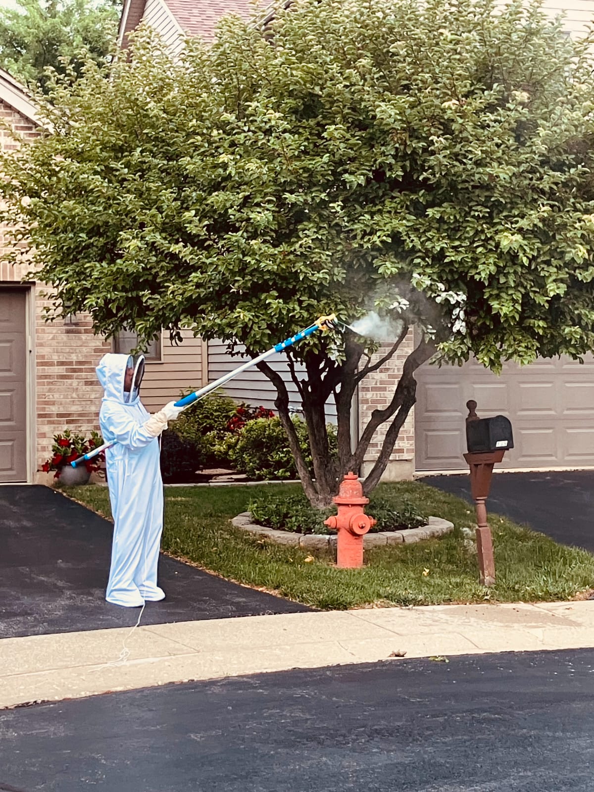 Technician treating trees in a neighborhood yard as part of pest control Illinois services by Perfect Pest.