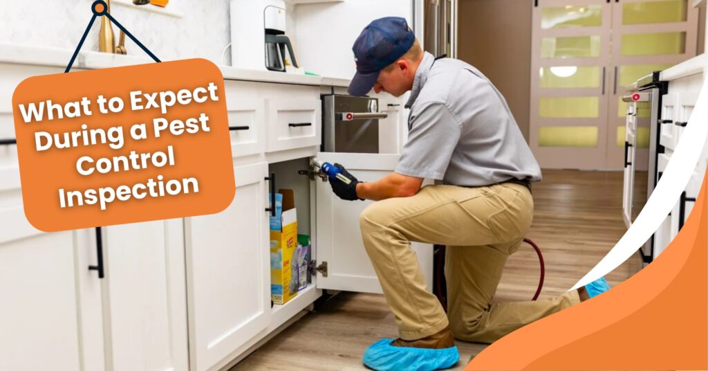 A pest control technician, wearing a hat and blue shoe covers, is kneeling and inspecting under a white kitchen cabinet with a tool. An orange text overlay reads, "What to Expect During a Pest Control Inspection."