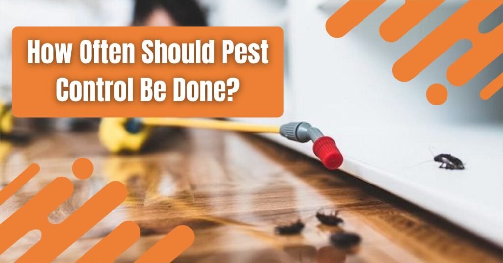 Technician spraying floor for roaches during routine pest control treatment, illustrating how often pest control should be done.