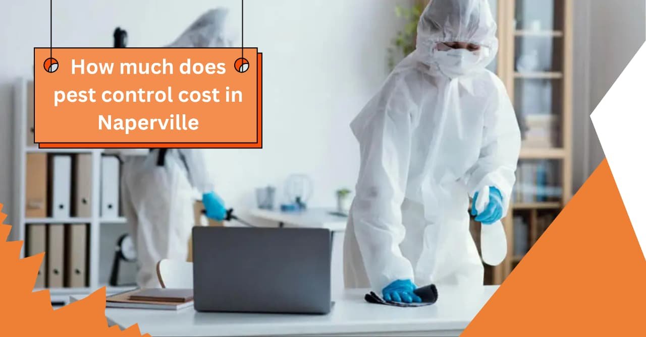 Technicians in protective suits performing pest control inside a Naperville home with a highlighted banner asking about pest control costs.