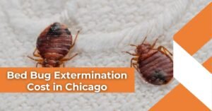 Close-up image of two bed bugs on a white fabric surface illustrating bed bug extermination cost concerns in Chicago.
